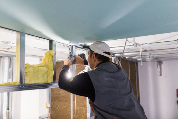Best Types of Insulation in Harrington, DE