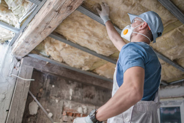 Best Residential Insulation in Harrington, DE