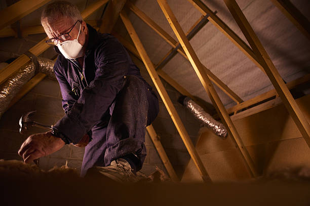 Best Insulation for Specific Applications in Harrington, DE